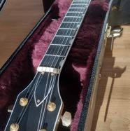 Gretsch6122T-WEB100W24.jpg